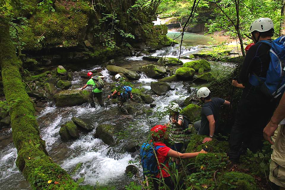 Excursions and guided tours