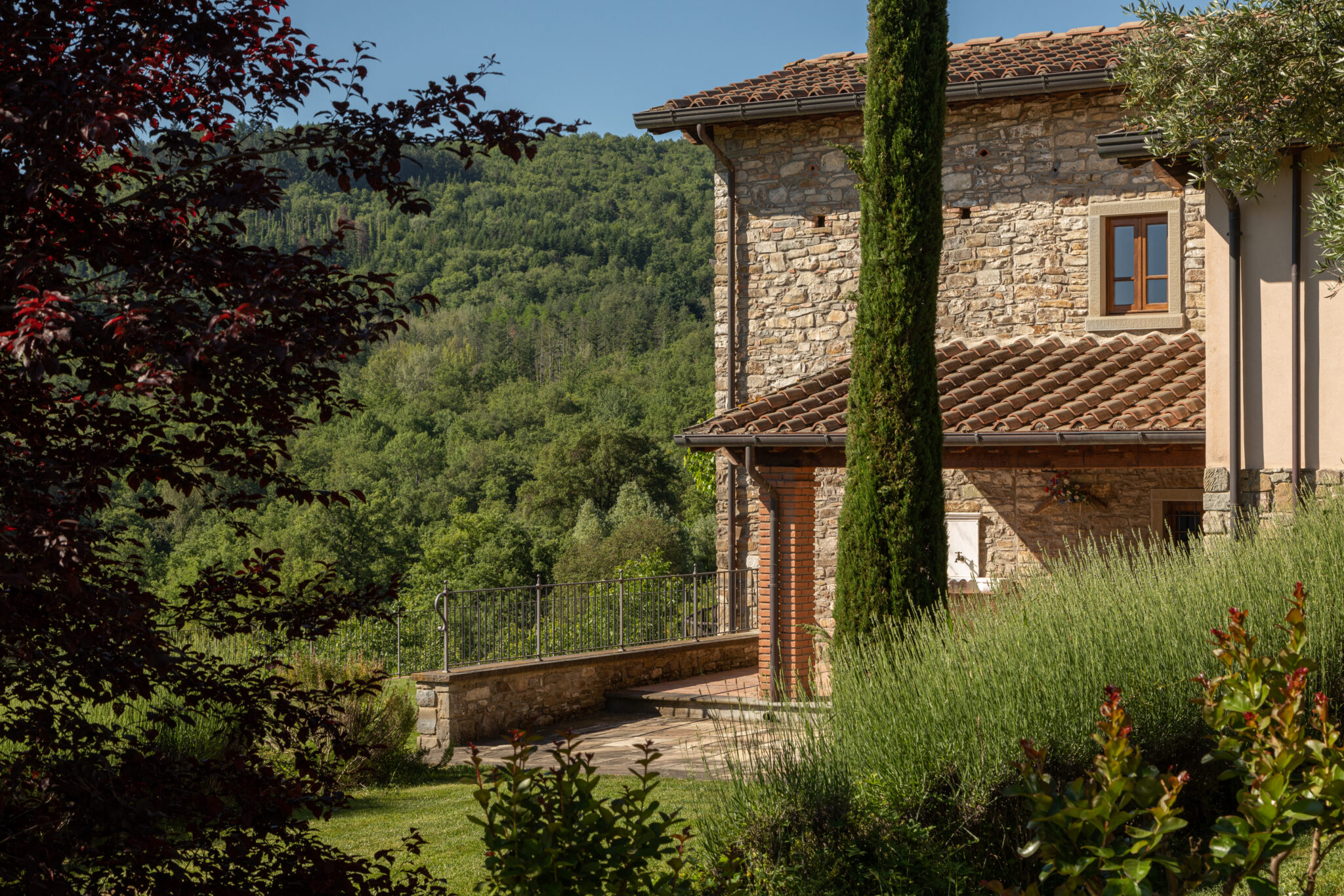 Podere Cerretino gallery 6